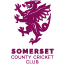 Somerset logo